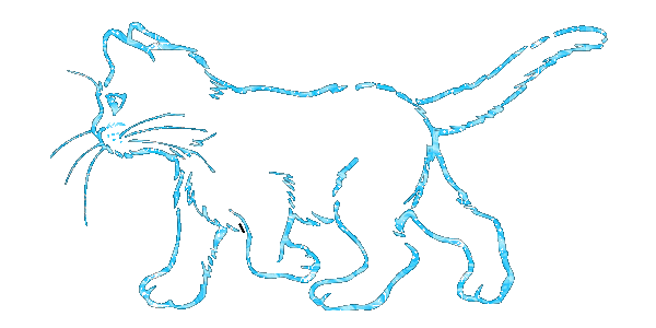 gifs scintillants