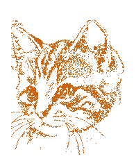 gifs scintillants