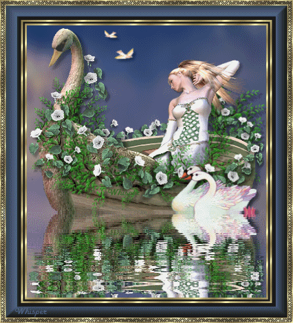 reflets