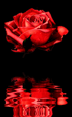 reflets