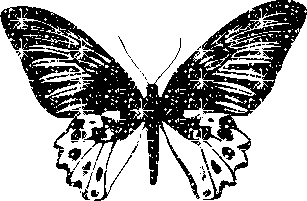 gifs scintillants