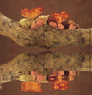 reflets