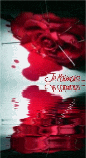 reflets