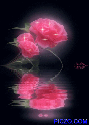 reflets
