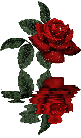 reflets